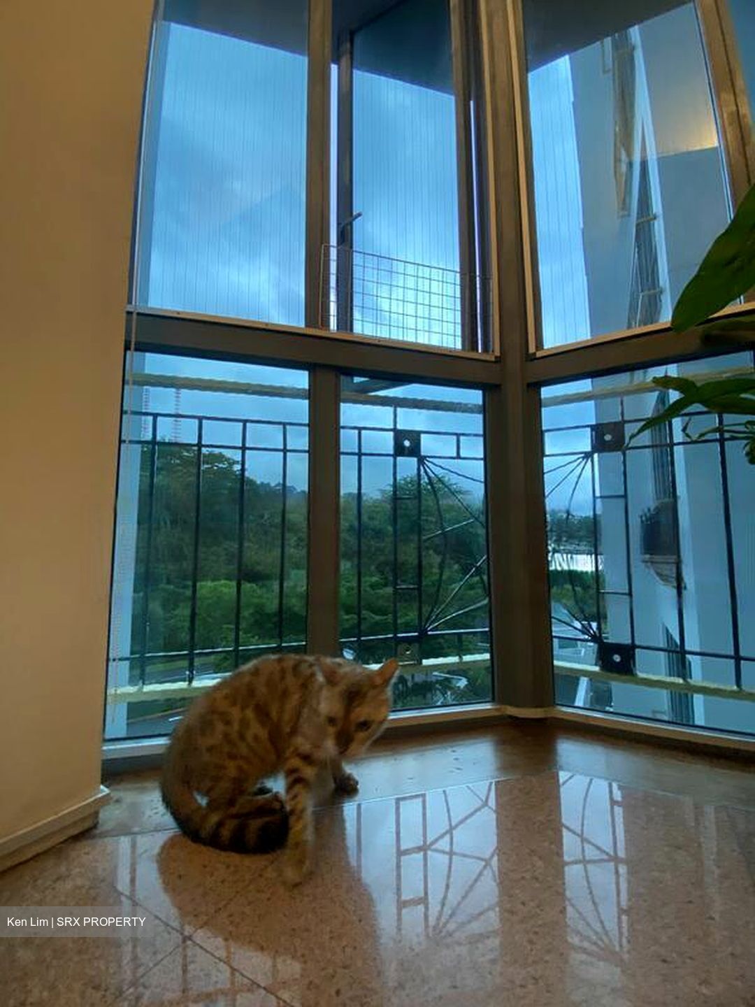 Springdale Condominium (D21), Condominium #539130561